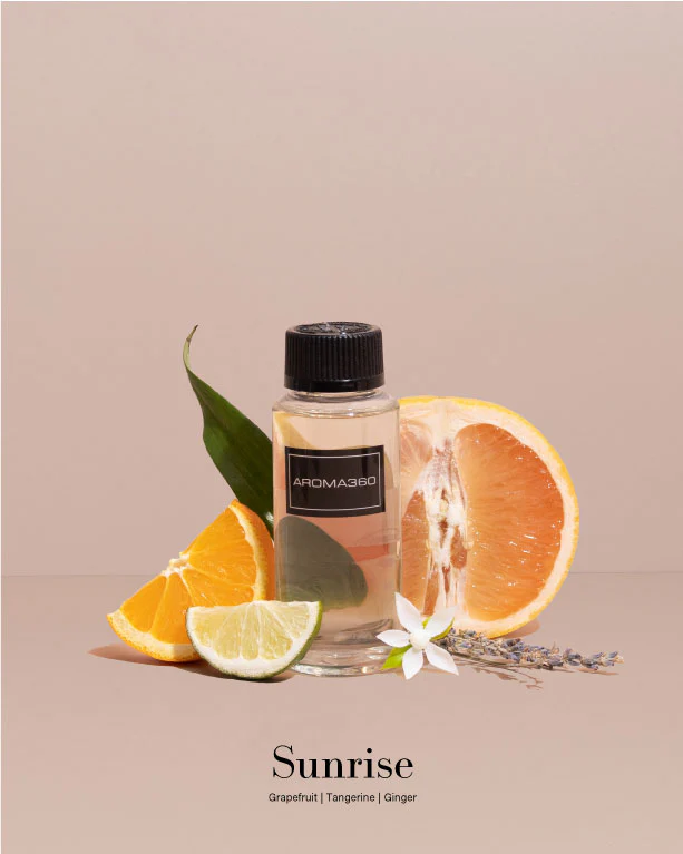 Aromatherapy Discovery Set - Image 5